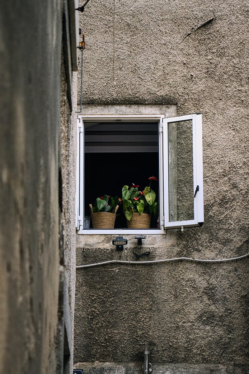 Windowsill Herb Pots